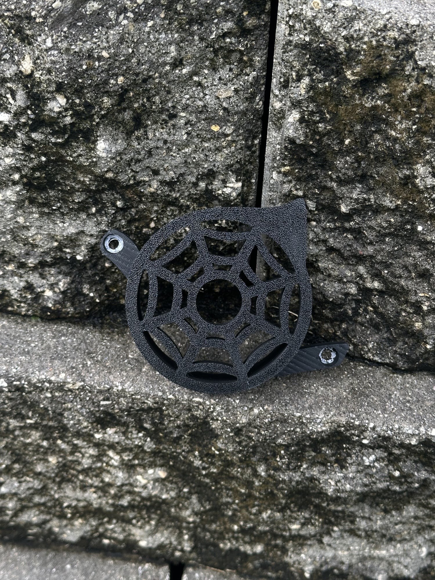 arachnid motor cover photo