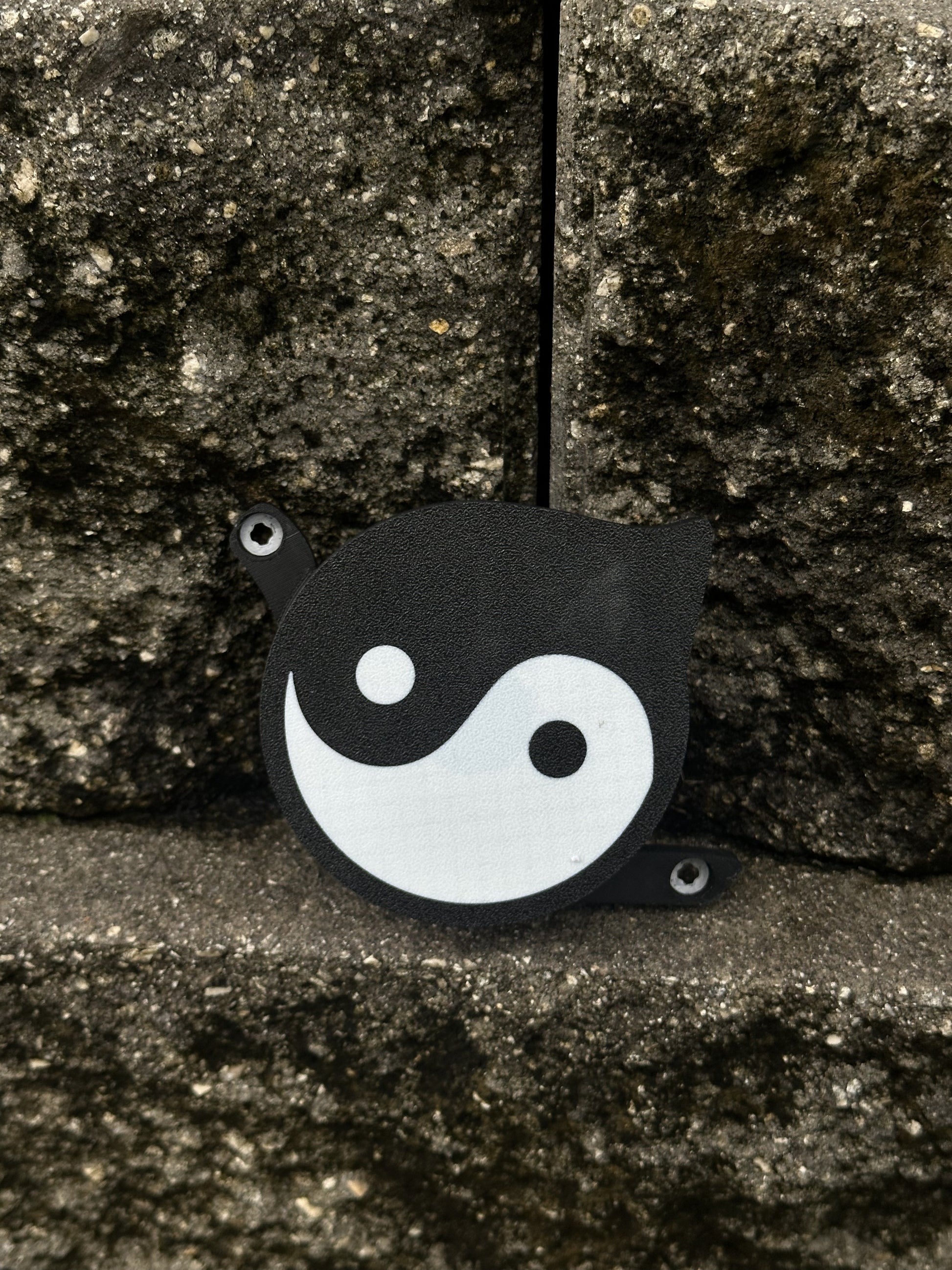 zen motor cover photo